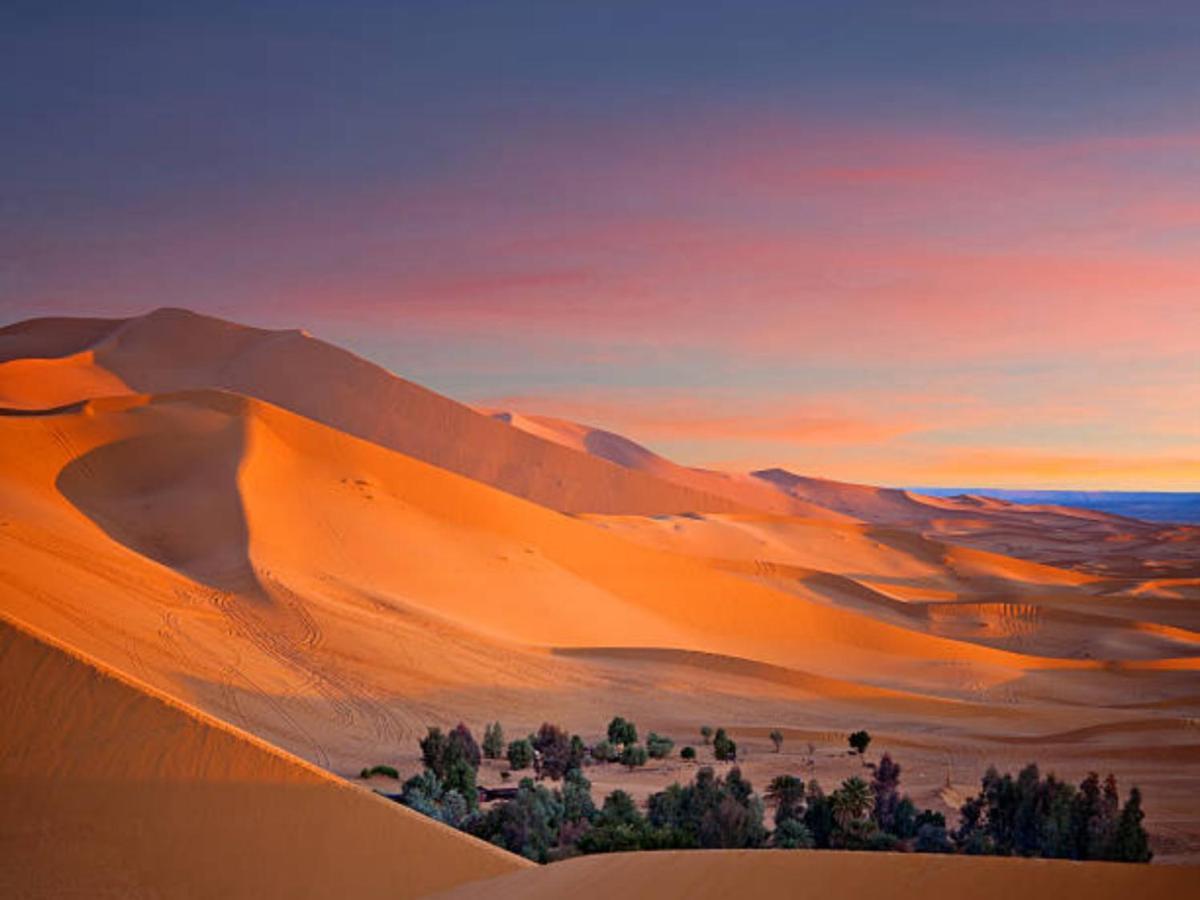 Desert Paradise Luxury Camp Merzouga Buitenkant foto